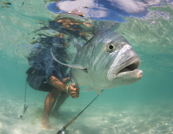 An In-Depth Guide to Fly Fishing for Giant Trevally