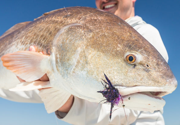 Louisiana's Best Kept Fly Fishing Secret