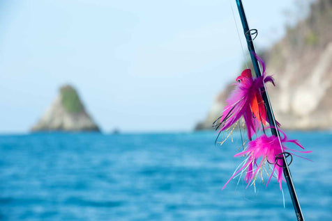 Costa Rica Fly Fishing Lodges