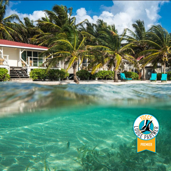 Turneffe Flats Lodge