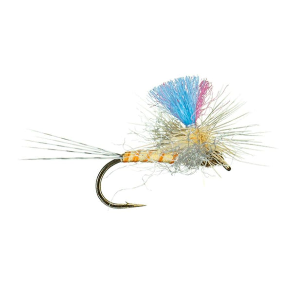 Guide Winna Spinna - Sulphur - Size 18