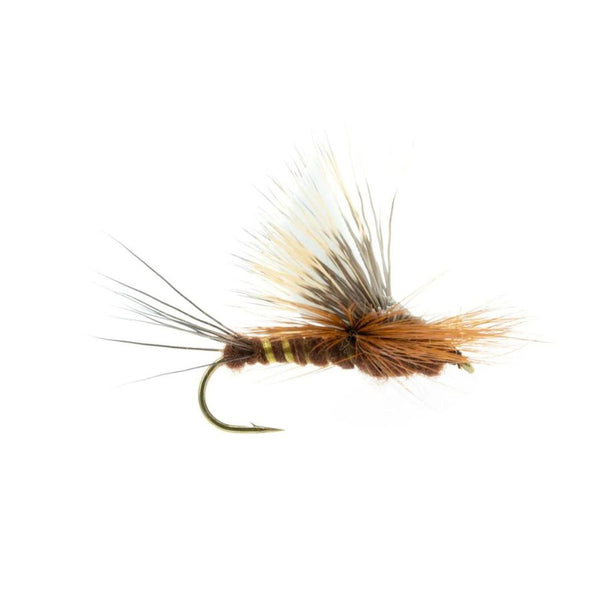 Majestic AF - Brown Drake - Size 8