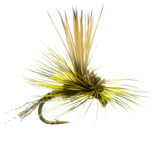 Stealth Link - BWO - Size 18