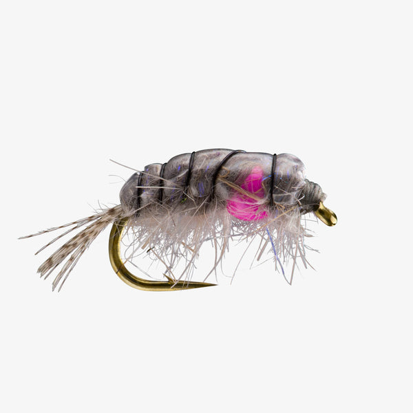 Midweight Scud - Rainbow - Size 14