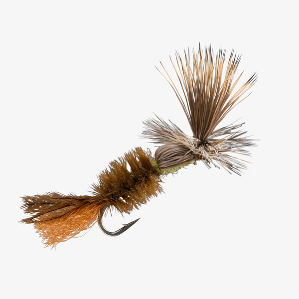 Brown Drake Challenged 10 |