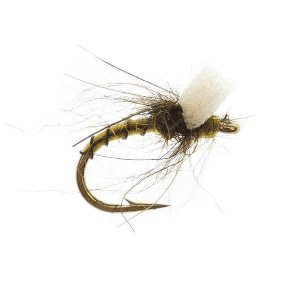 Light Olive Massacare Midge 18