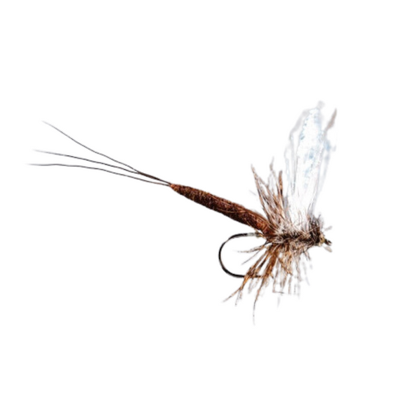 X-Fly Modular Drake - Brown Drake - Size 10