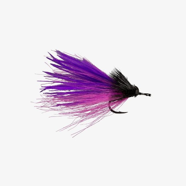 Purple and Pink Dread Pirate 1/0 |  
