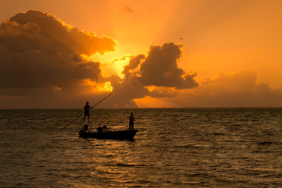 yellow-dog-flyfish BLACKADORE CAYE UPDATE.