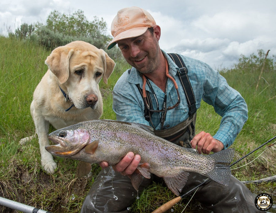 yellow-dog-flyfish YD TEAM FISHING TRIP | HENRYS FORK.