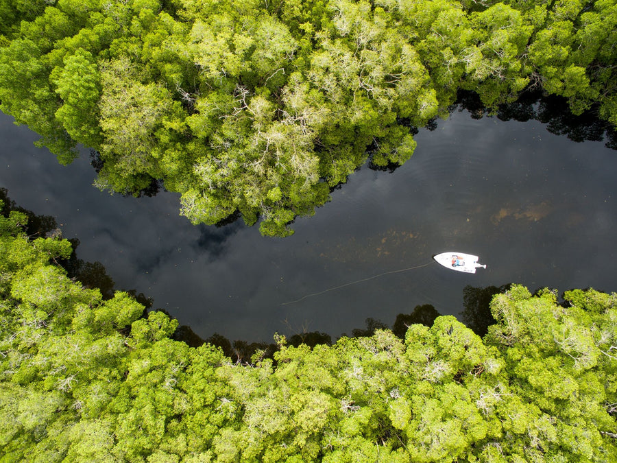 yellow-dog-flyfish AN 11-YEAR-OLD TALKS CAMPECHE TARPON.