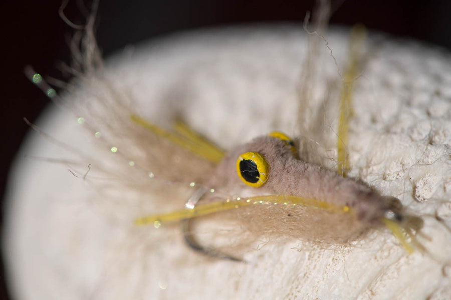 yellow-dog-flyfish The Top Flies For Ascension Bay: What You Need to Bring.