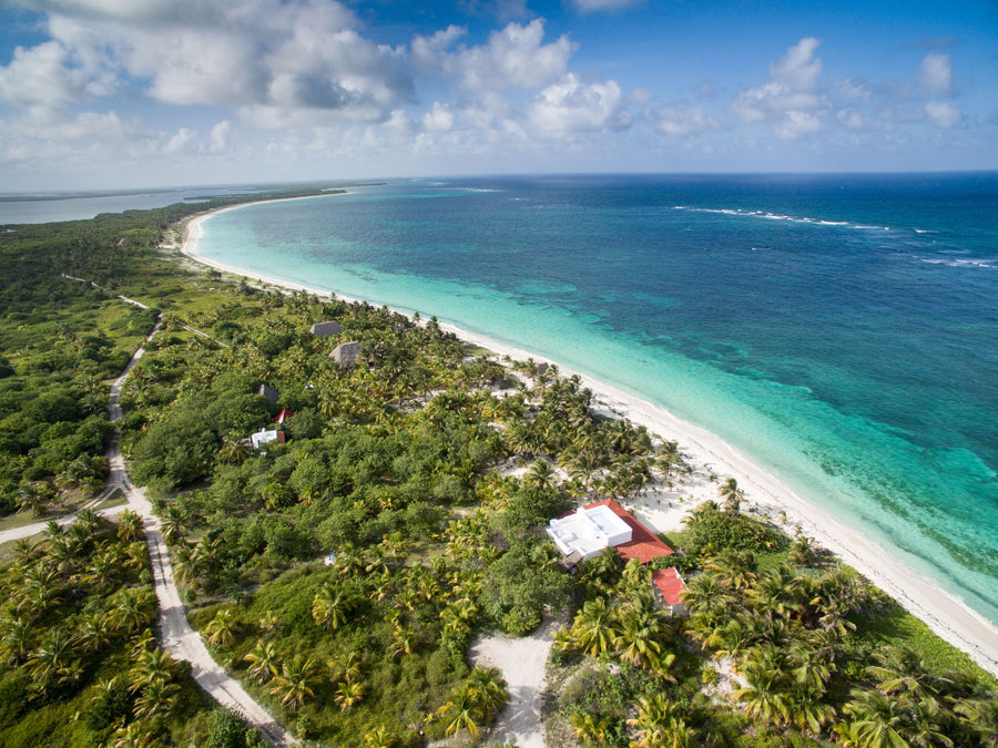 yellow-dog-flyfish MIKE LAWSON REPORTS ON PLAYA BLANCA.