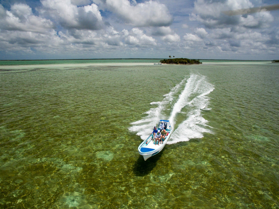 yellow-dog-flyfish Ultimate Guide: 10 Lodges With Ecotourism and Diving Programs.