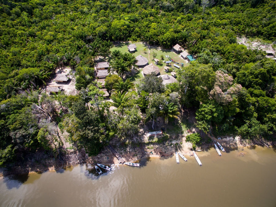 yellow-dog-flyfish Welcome to the Jungle: We've Got Fins and Fangs.