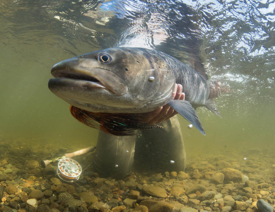 yellow-dog-flyfish Mongolia: Last Available Dates for the 2022 Season.