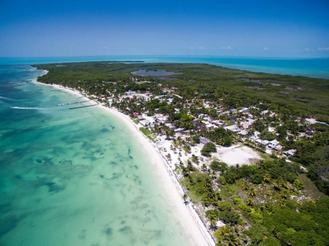 yellow-dog-flyfish I FINALLY GOT MY FIRST GRAND SLAM | YUCATAN CLIENT REPORT.