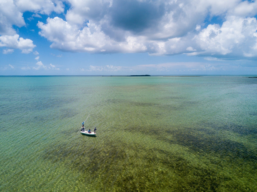 Choosing a Fly Rod: The 9-Weight