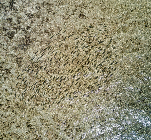 yellow-dog-flyfish Bahamas Fly Fishing Gear Guide: Everything You Need.