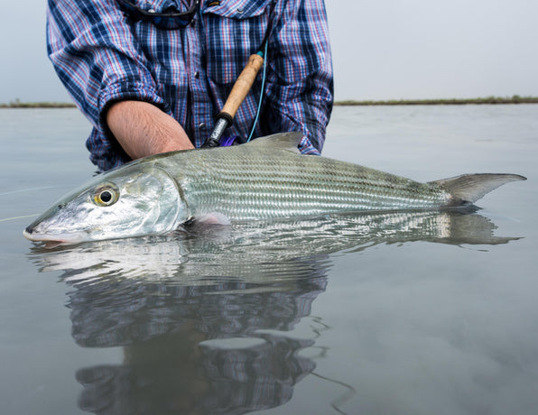 The Top 11 Bahamas Bonefish Flies