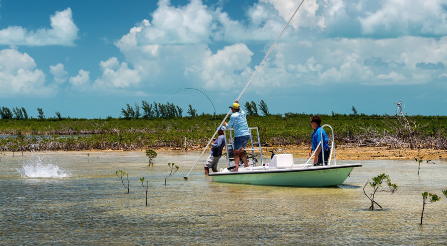 Fly Fishing the Bahamas in Summer and Fall