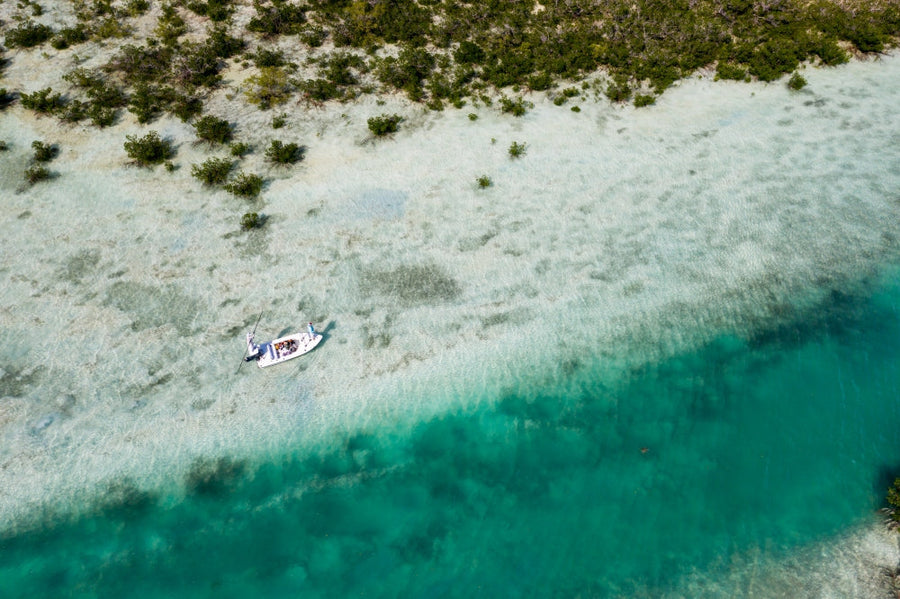 yellow-dog-flyfish Bahamas Lifted 
