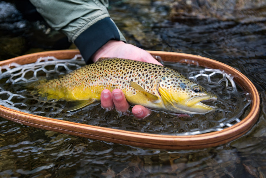 yellow-dog-flyfish The Greater Yellowstone Recreation Enhancement and Tourism Act.