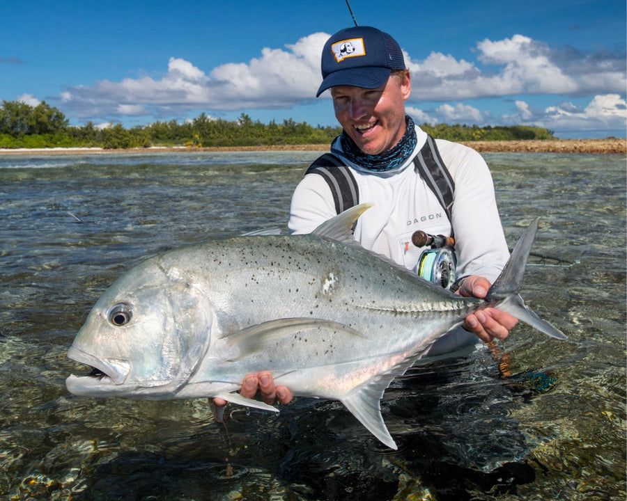 yellow-dog-flyfish The Seychelles Are Opening!.