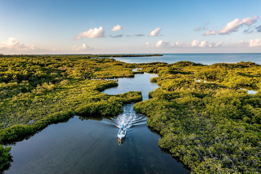 yellow-dog-flyfish 10 Things I Learned from My First Trip to Ascension Bay.
