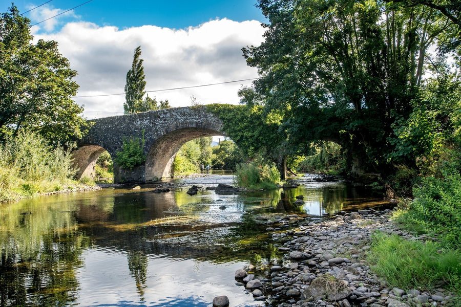 yellow-dog-flyfish October 2025 Client Trip Recap: Clonanav Fly Fishing.