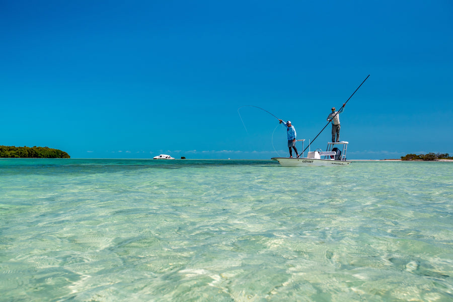 yellow-dog-flyfish Choosing a Fly Rod: The 8-Weight.