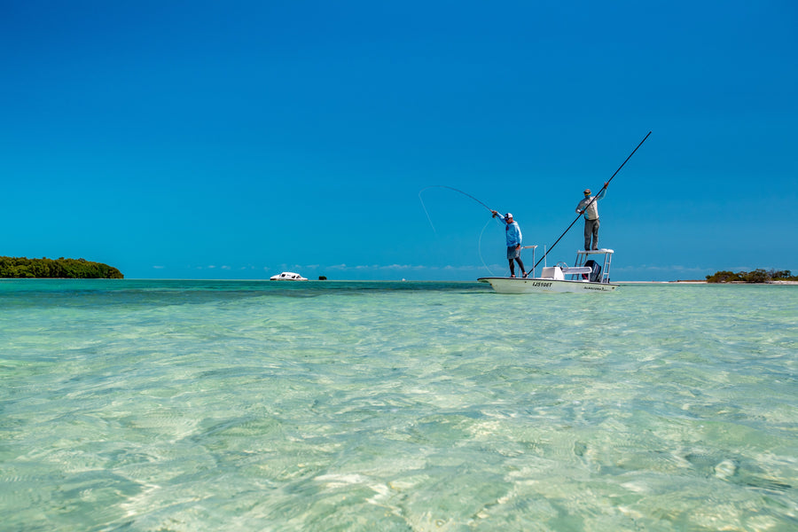 yellow-dog-flyfish Choosing a Fly Rod: The 8-Weight.
