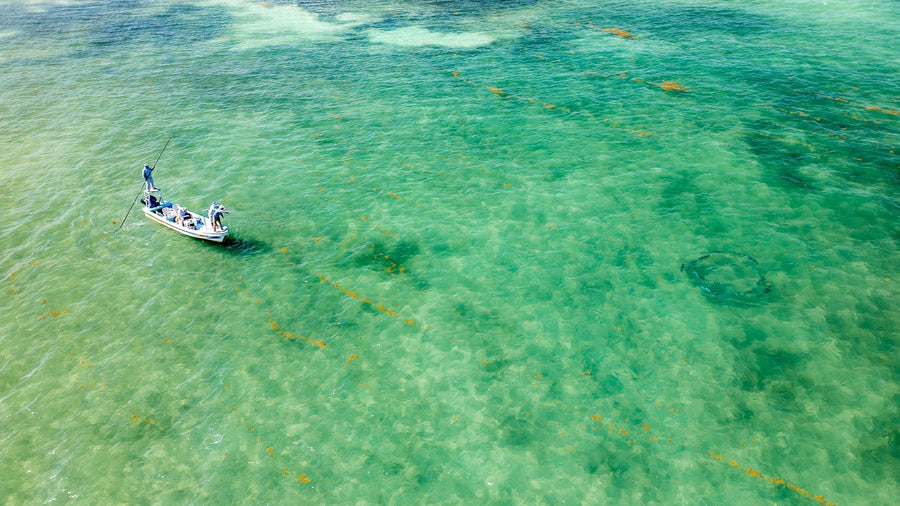 yellow-dog-flyfish Choosing a Fly Rod: The 11-Weight.