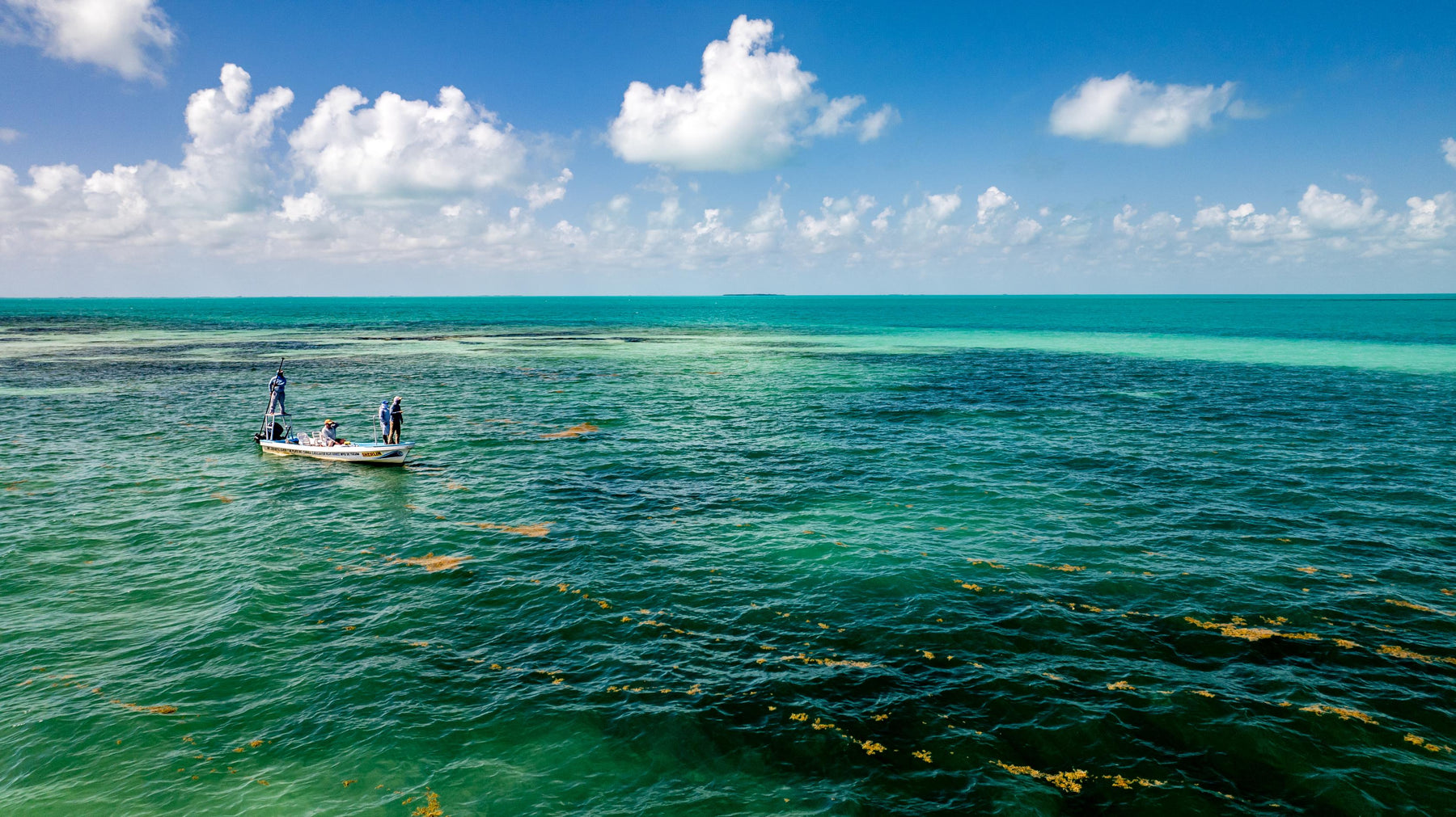 Best 11-Weight Rods for Tarpon