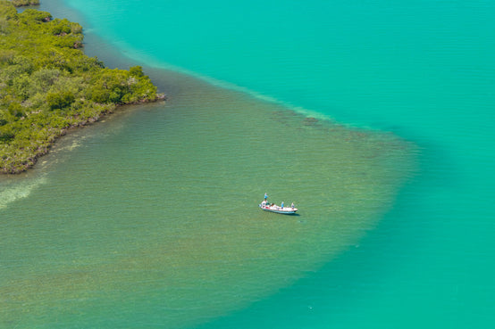 yellow-dog-flyfish Expedition Belize.