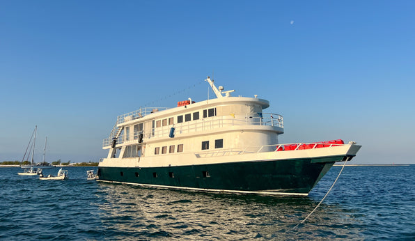 Cayo Largo Hosted Trip Report by Ian Davis