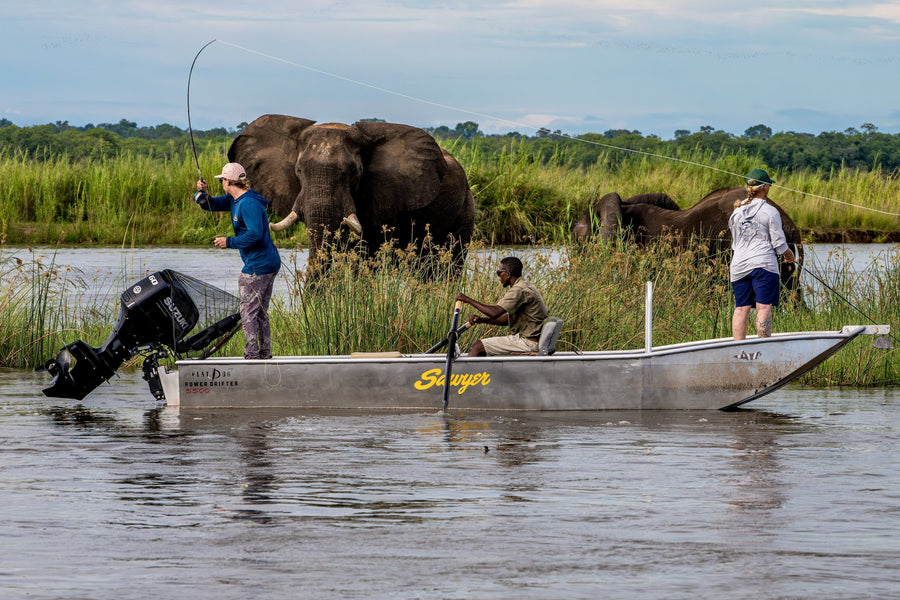 African Tiger Camp Trip Report