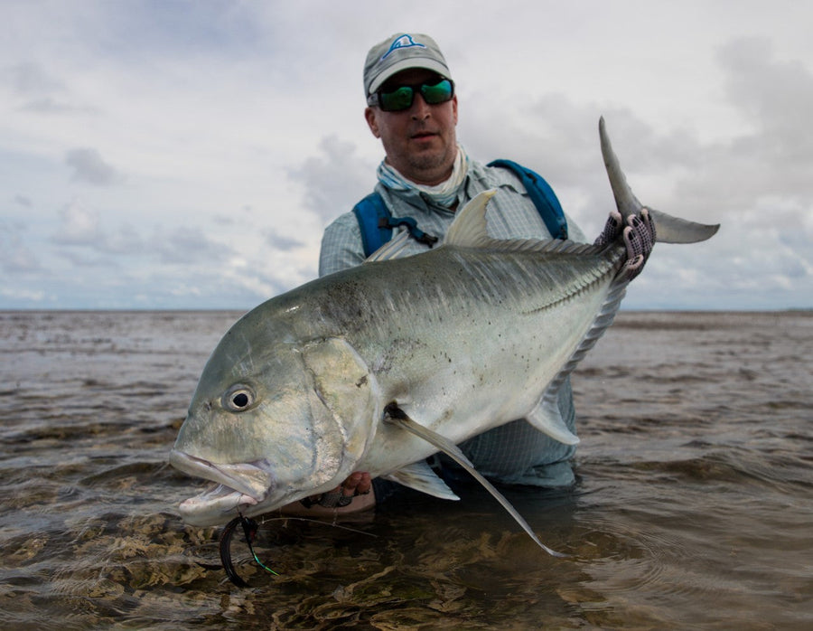 yellow-dog-flyfish Seychelles: Jeff Currier Providence Atoll Trip Report 2022.
