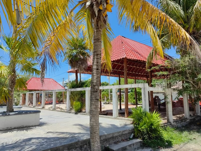 yellow-dog-flyfish Summer 2022 YDCCF Updates.
