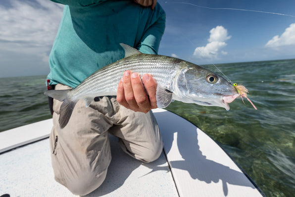 Angler holding a bonefish caught on a fly while kneeling on a flats boat in shallow coastal water