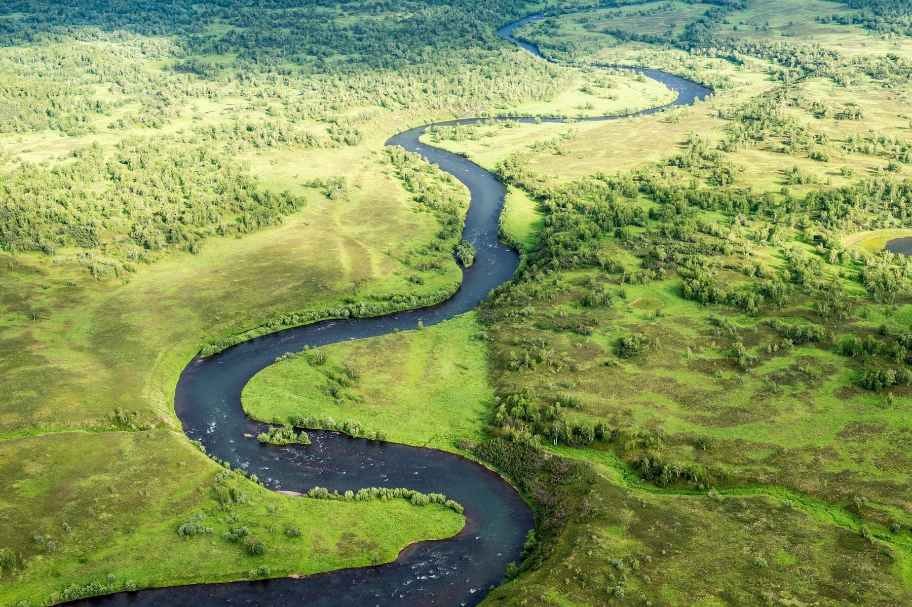 Winding river through green Kamchatka wilderness viewed from above
