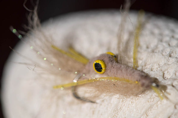 Close-up of a Fly Fishing Fly showcasing yellow eyes and glittering fibers against a blurred pale background