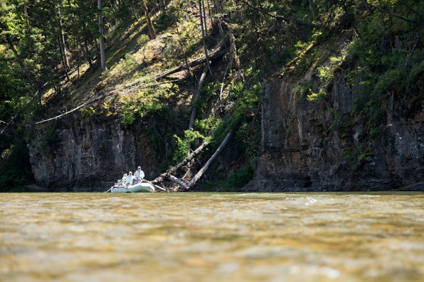 Fly fishers in a drift boat on a Montana river below a forested rocky canyon