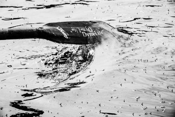 Paddle stirring water covered with drifting insects during a Montana fly fishing hatch