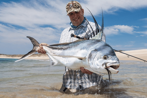 Angler holding a large roosterfish with a fly in its mouth in shallow coastal water