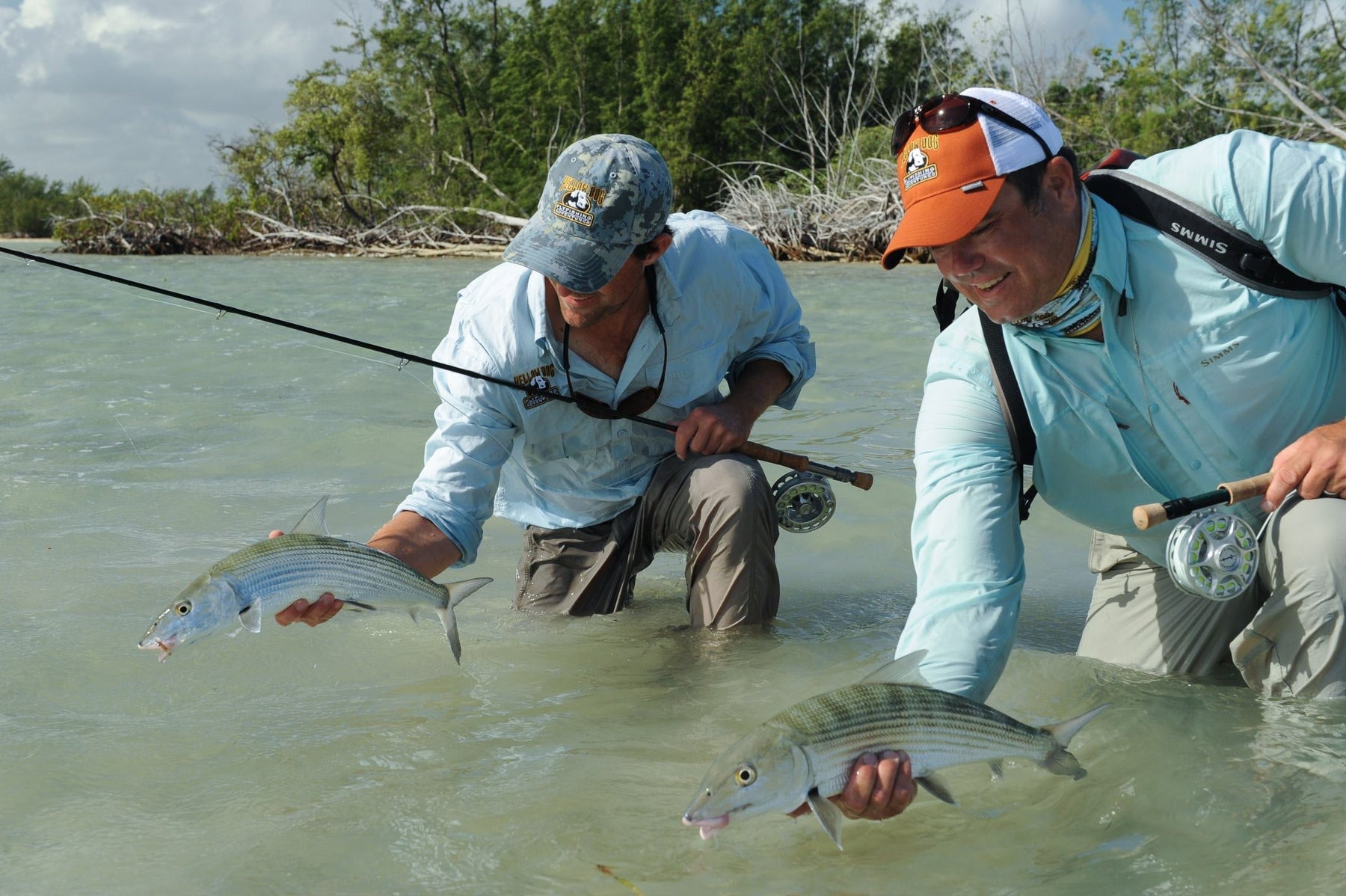 Two fly fishers wade in shallow water holding caught fish near a mangrove shoreline