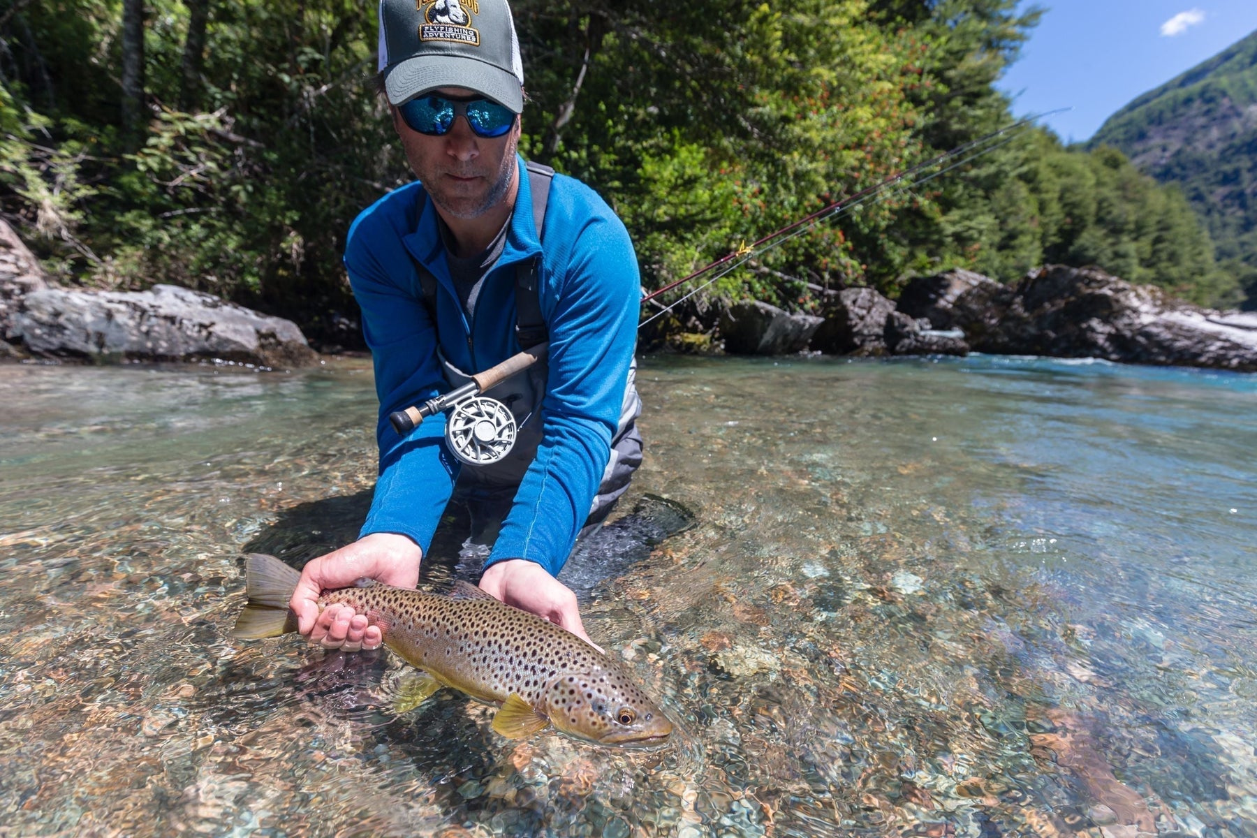 Fly fisher holds a brown trout in a clear Patagonian river with mountains behind him