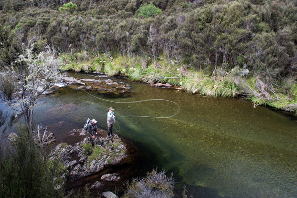 Two anglers fly fishing in a clear stream surrounded by New Zealand backcountry vegetation
