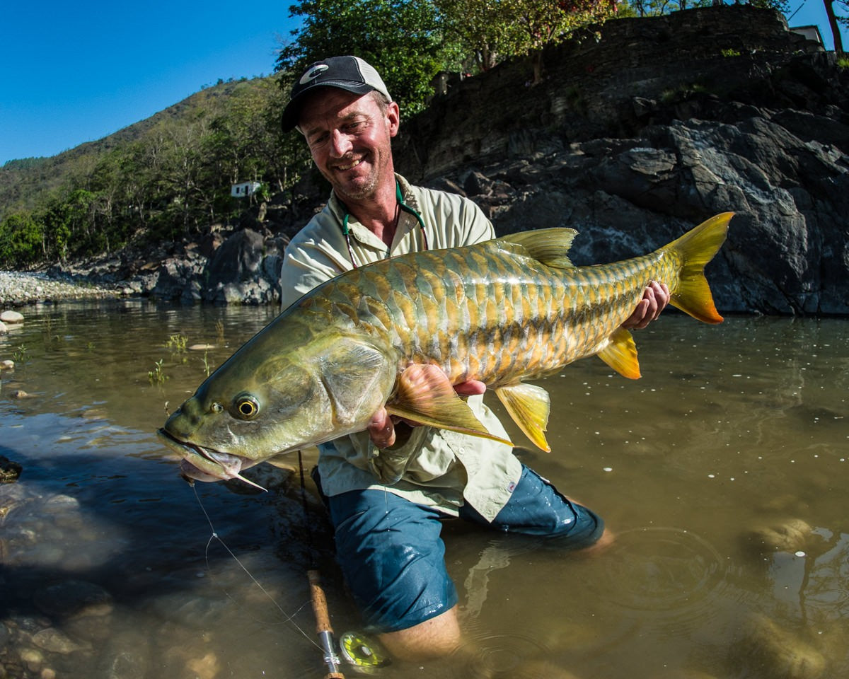 Angler holding a golden mahseer while fly fishing in a rocky river