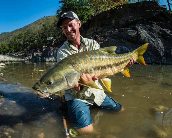 Angler holding a golden mahseer while fly fishing in a rocky river